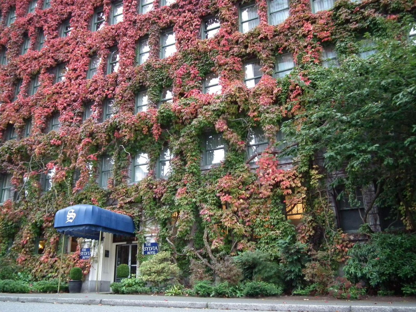 The Sylvia Hotel — photo 3